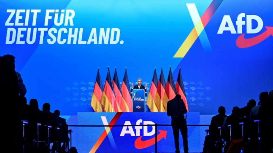  AfD best&auml;tigt Doppelspitze im Amt - und will in Zukunft regieren 
