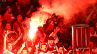 "Unertr&auml;glich": Gr&uuml;nen-Politiker von Notz kritisiert Wolfsgru&szlig; bei T&uuml;rkei-Spiel