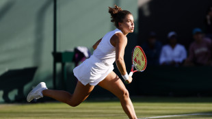 Wimbledon: Paolini eliminata al secondo turno