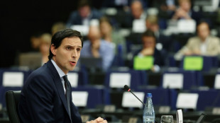 EU-Parlament stimmt über neuen Klimakommissar ab