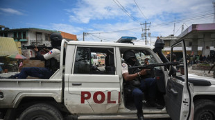 Conselho de Segurança da ONU manifesta preocupação com violência no Haiti
