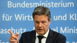 Alemania eleva el nivel de alerta sobre el gas debido a la reducci&oacute;n de suministro ruso