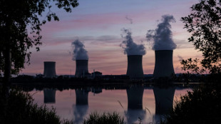 Atomic Brussels? Support for nuclear power gains ground in EU
