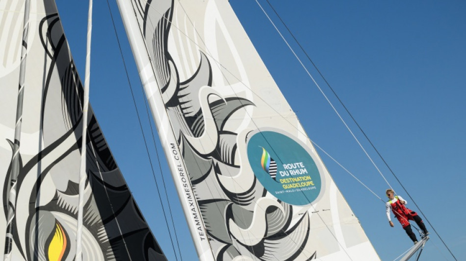  Route du Rhum : une course aux sponsors plus disput&eacute;e que jamais 