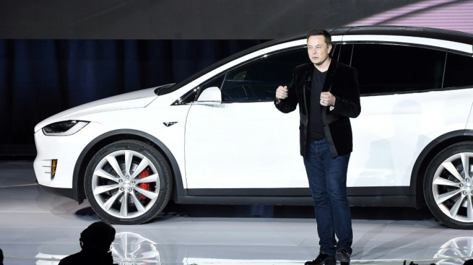 Kl&auml;geranwalt wirft Elon Musk in Prozess zu Tesla "L&uuml;gen" vor