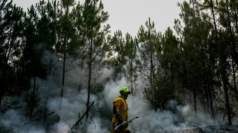  En Gironde, un "cap" franchi dans la lutte contre le m&eacute;gafeu 