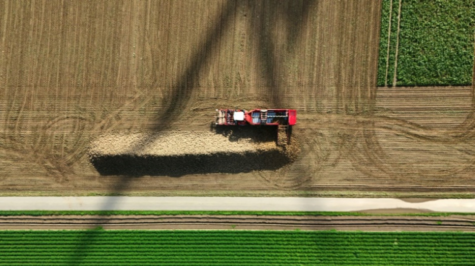  EU-Agrarminister beraten &uuml;ber F&ouml;rdergelder und Ostseefischerei 