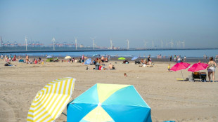 Umfrage: Mehrheit der Berufstätigen ist im Urlaub für die Arbeit erreichbar