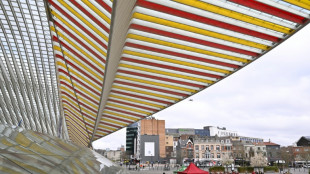 Streiks gegen Rentenreform st&ouml;ren Luftverkehr in Belgien