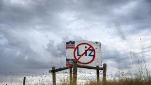 Liz Cheney, cr&iacute;tica ac&eacute;rrima de Trump, pierde su banca en el Congreso