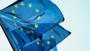 EU-Parlament stimmt gegen Ausweitung des europäischen Emissionshandels