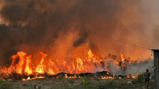 Incendios crecen en mayo en la Amazonía brasileña y baten récord en el Cerrado