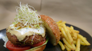 Verbraucherschützer gegen mögliches EU-Namensverbot für Veggie-Burger