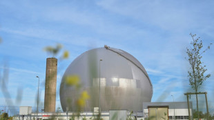 Frankreich will Genehmigungsverfahren für Bau neuer Atomkraftwerke beschleunigen