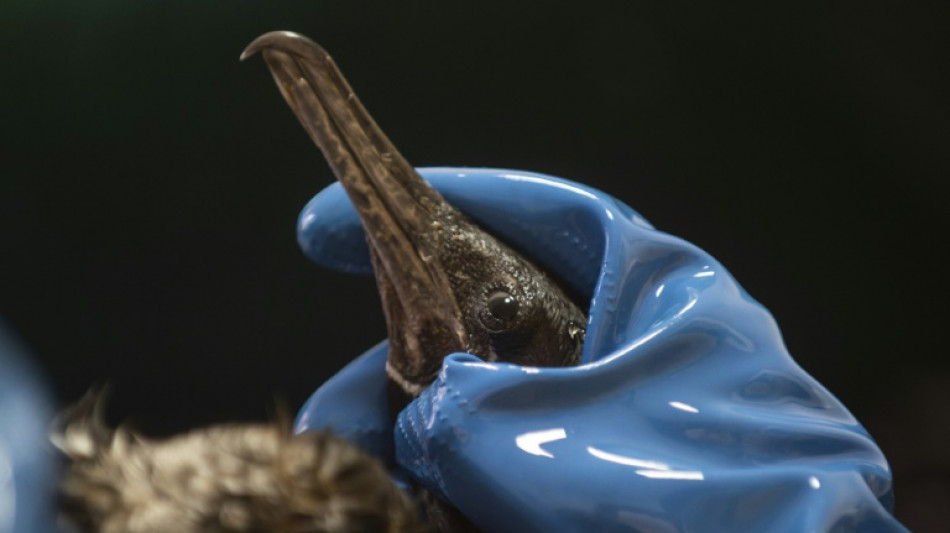 Un enviado espa&ntilde;ol visita en Per&uacute; la refiner&iacute;a de Repsol donde ocurri&oacute; el derrame