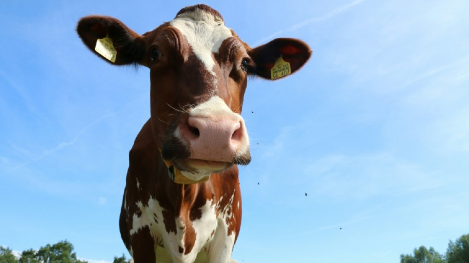  Jeder Zweite auf dem Dorf h&auml;lt Landleben f&uuml;r sehr gesund 