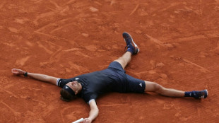 Roland-Garros: &agrave; 29 ans, Zverev triomphe enfin en Grand Chelem