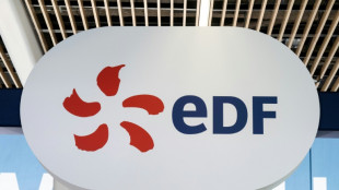 EDF am&eacute;liore son b&eacute;n&eacute;fice net de 21% &agrave; 7 milliards d'euros au 1er semestre