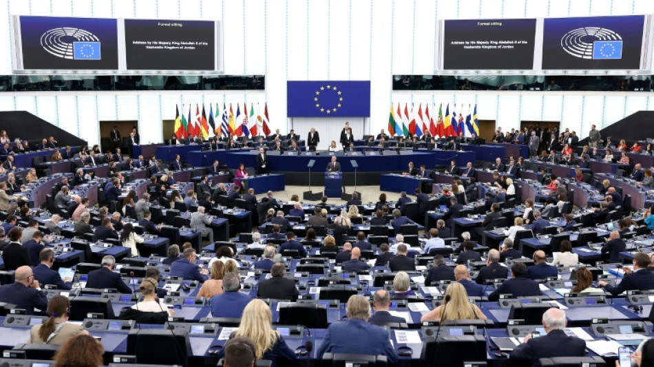 Los eurodiputados apoyaron la abolición de la prescripción en casos de abuso sexual infantil