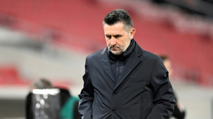 El Uni&oacute;n Berl&iacute;n despide a Nenad Bjelica a dos jornadas para el final de temporada