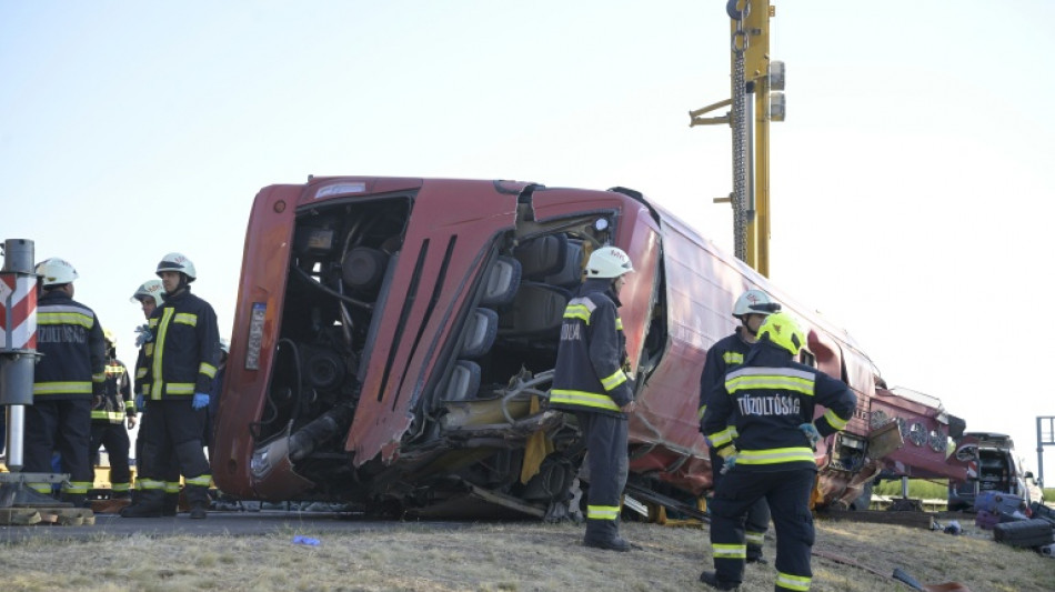  Doce muertos y 10 heridos graves al volcar en Hungr&iacute;a un autob&uacute;s polaco 