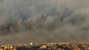 Toque de queda en Valparaíso y Viña del Mar por "incendios sin precedentes" en Chile