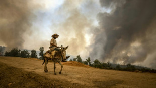 Maroc: des renforts pompiers et militaires pour  maîtriser les feux de forêt