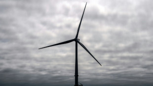 Eolien en mer: BP et TotalEnergies vainqueurs de m&eacute;ga-ench&egrave;res en Allemagne