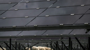 Analyse: In EU 2022 erstmals mehr Strom aus Wind und Solar als aus Gaskraftwerken