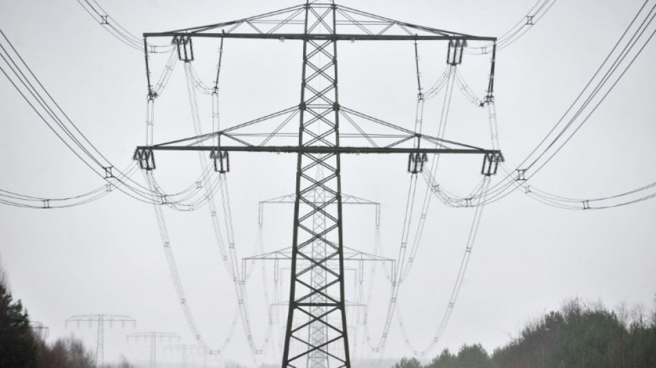  Energieminister der L&auml;nder dr&auml;ngen auf Senkung der Stromsteuer 