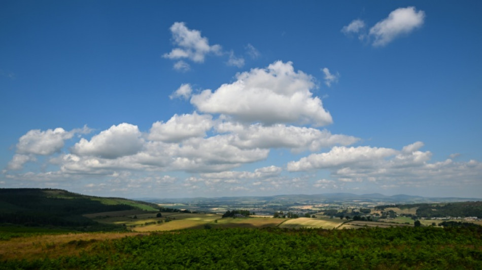  Charity races to raise millions to buy historic English estate 
