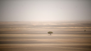 Extradition en vue pour des Fran&ccedil;ais soup&ccedil;onn&eacute;s de vouloir "sacrifier" leur fils dans le Sahara