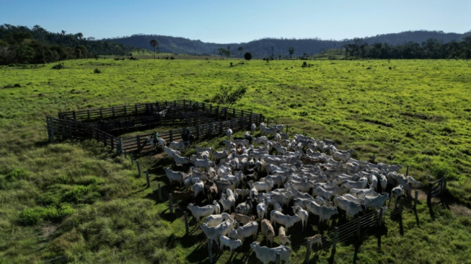 Lanzan un plan de monitoreo de pastoreo para reducir las emisiones en Sudamérica