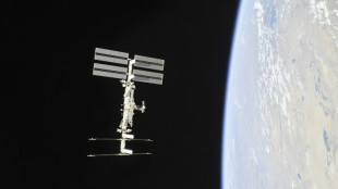 Primera tripulación privada, lista para despegar en un mes hacia la ISS