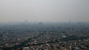 Indon&eacute;sie: des milliers de fonctionnaires pri&eacute;s de t&eacute;l&eacute;travailler pour r&eacute;duire la pollution