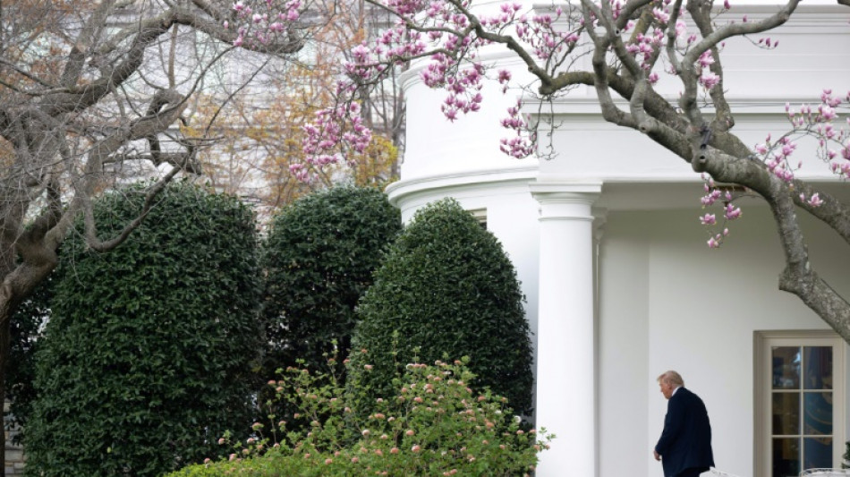 Meme politics: White House embraces aggressive alt-right online culture