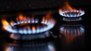 Il gas apre in rialzo ad Amsterdam (+1,3%)