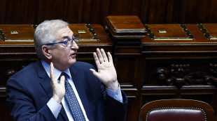 Foti, 'green deal senza senso, saremo giardinetto per anziani'