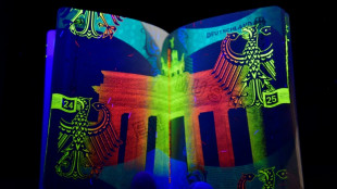 Schlag gegen Pass- und Dokumentenf&auml;lscher: Gro&szlig;razzia der Bundespolizei in Hamburg