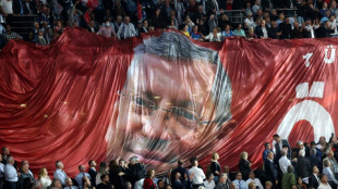 &Ouml;zg&uuml;r &Ouml;zel, la force &eacute;mergente de l'opposition turque