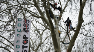 Des anti-A69 perch&eacute;s face au tribunal avant une audience-cl&eacute;