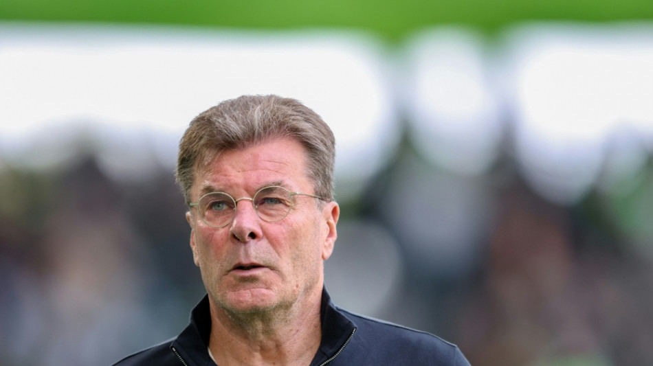 Hecking wird Sportchef in Wolfsburg 
