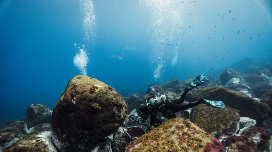  On the front line of ocean conservation off Portugal's Madeira 