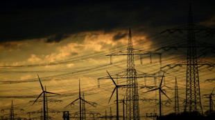 Habeck sieht Deutschland beim Klimaschutz im ökonomischen Wettbewerb mit USA