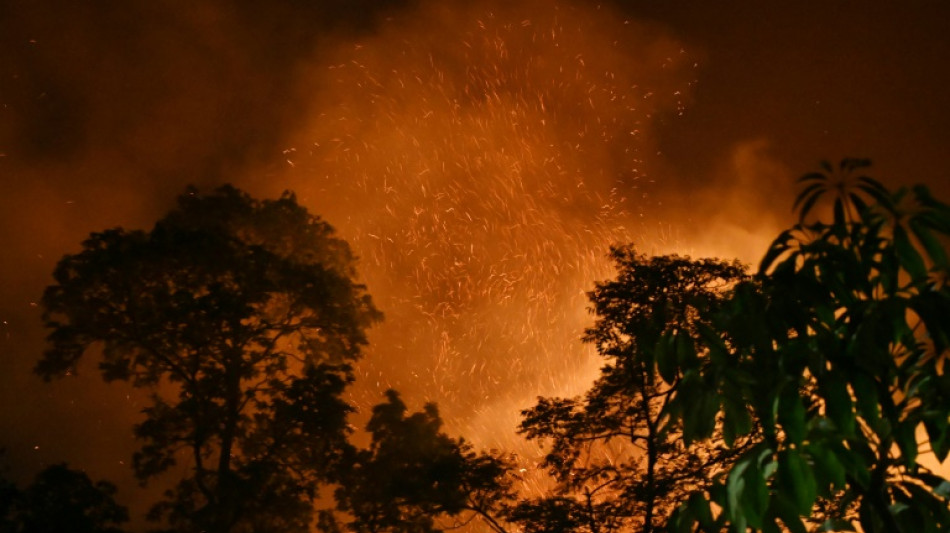 Feuerwehr in Nepal k&auml;mpft gegen Waldbrand nahe der Hauptstadt Kathmandu