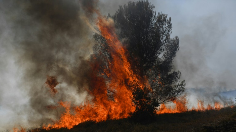 Les grands incendies de forêt, fléau récurrent en France