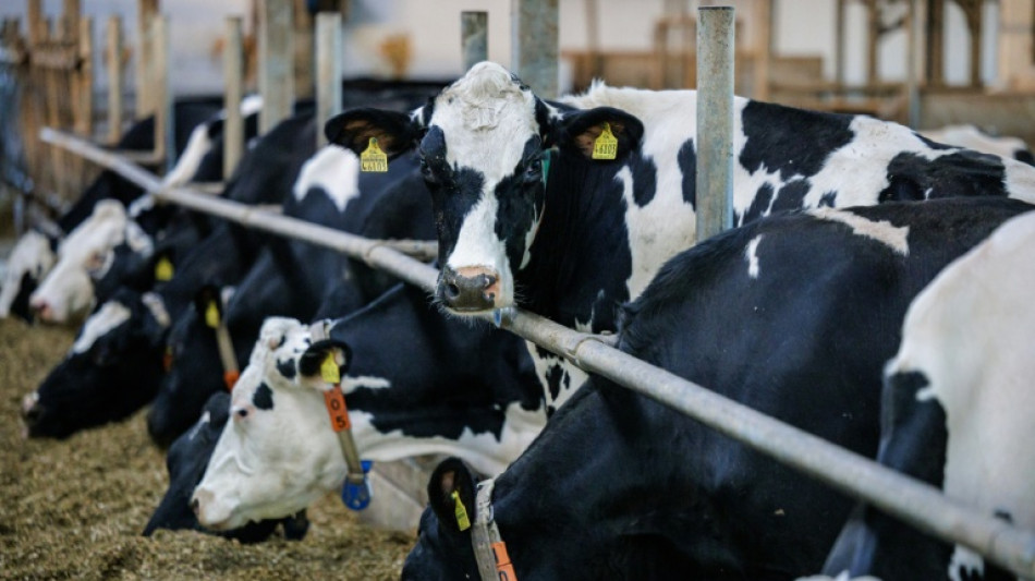  Preise f&uuml;r landwirtschaftliche Erzeugnisse deutlich geringer als im Vorjahr 