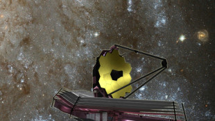 Webb telescope finds CO2 for first time in exoplanet atmosphere