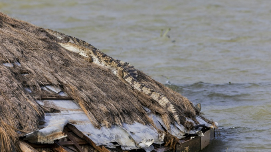  Rising Kenyan lakes push crocodiles closer to homes 