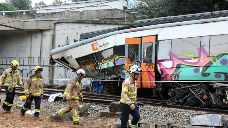 L'Espagne essaie de rassurer apr&egrave;s deux accidents ferroviaires majeurs en 48 heures